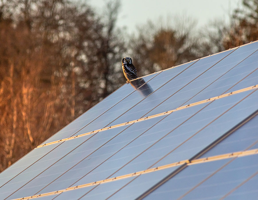 Can Solar Panels be installed on any roof